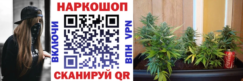 ТГК Кириллов