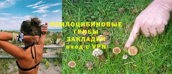 Альфа ПВП Протвино