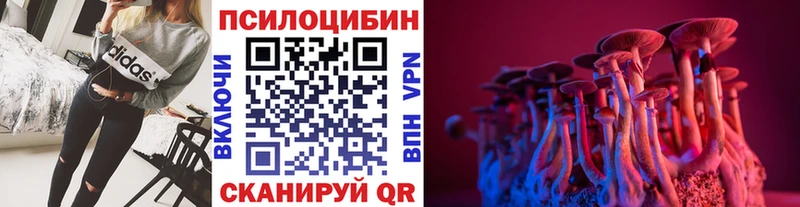 Псилоцибиновые грибы GOLDEN TEACHER  Купить  Кириллов 