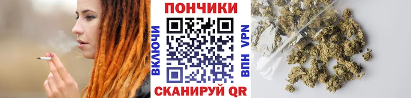 Бошки марихуана VHQ  Купить закладки  Кириллов 